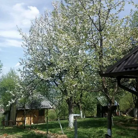Pensionat Old Town